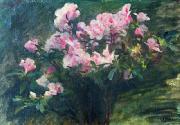 Charles-Amable Lenoir Study of Azaleas Sweden oil painting artist